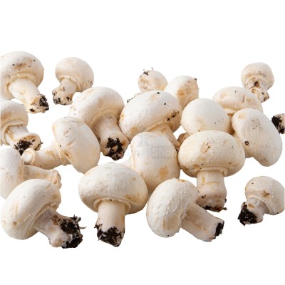 Шампиньоны свежие 500 г - купить в Карадулях